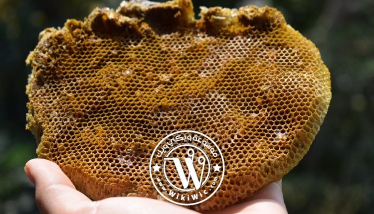 بحث عن العسل وفوائده