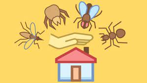 طرق مكافحة الحشرات في المنزل